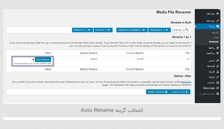 تغییر نام فایل آپلود شده در وردپرس با افزونه Media File Renamer