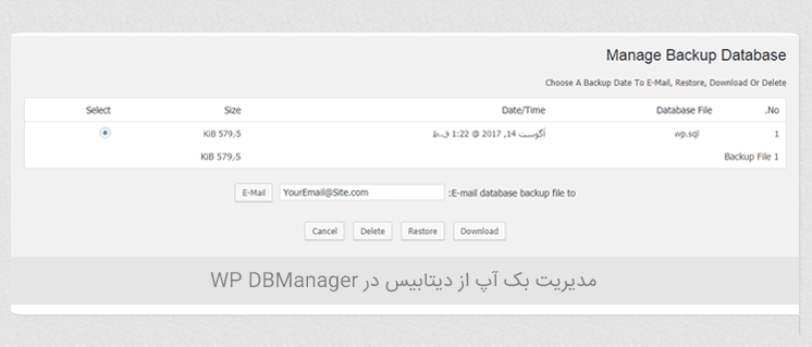 مدیریت دیتابیس در وردپرس با افزونه WP DBManager